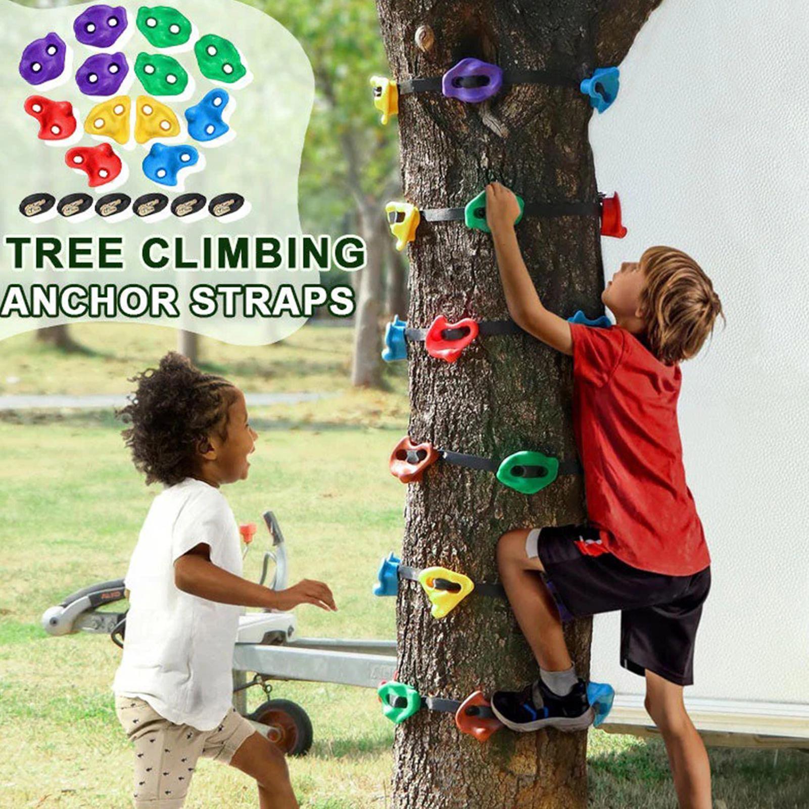 Equipamento de Escalada em Árv - Outdoor Adventure Store avaliação e preço